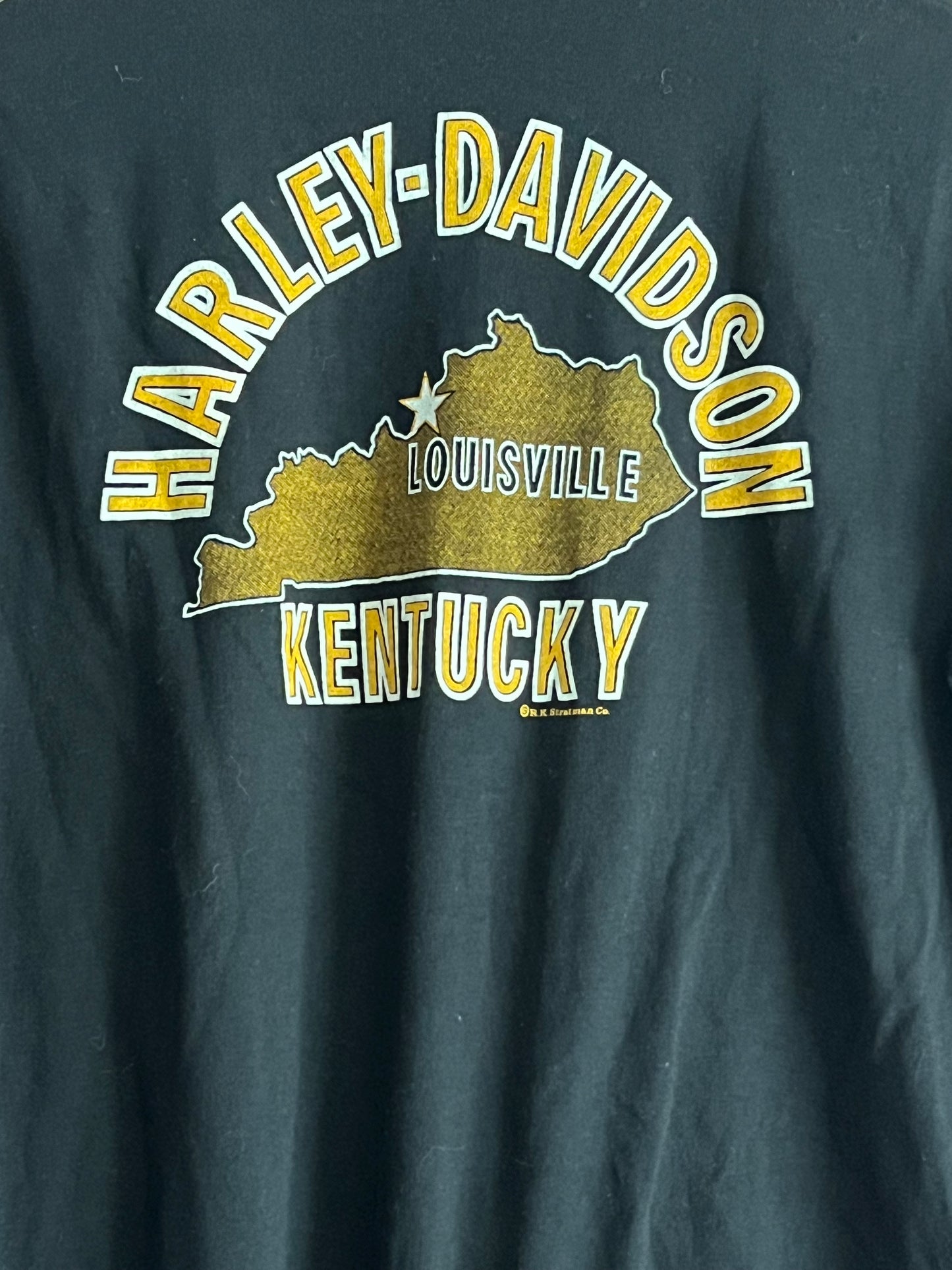 Vintage 80s Harley Davidson Eat Your Riceburner T Shirt Bikers Only