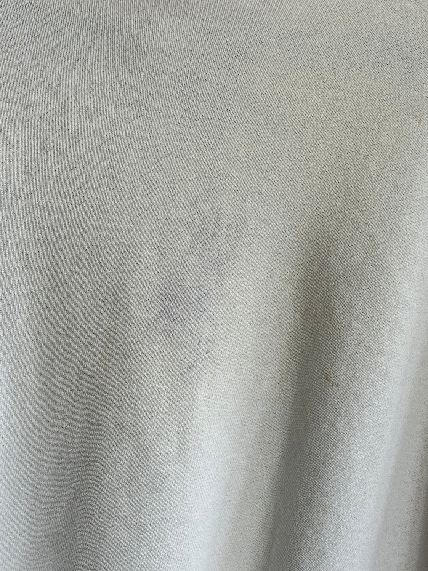 Vintage 60s Champion Running Man University of Michigan Shirt Sleeve Crewneck Sweatshirt