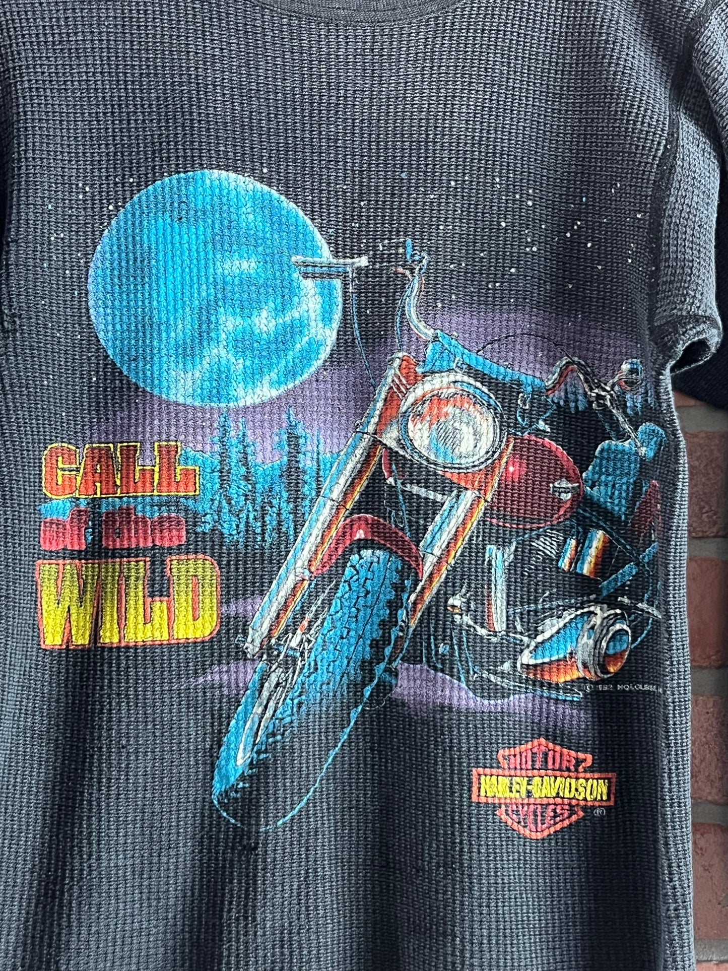 Vintage 90s Call of the Wild Harley Davidson Long Sleeve Thermal Shirt