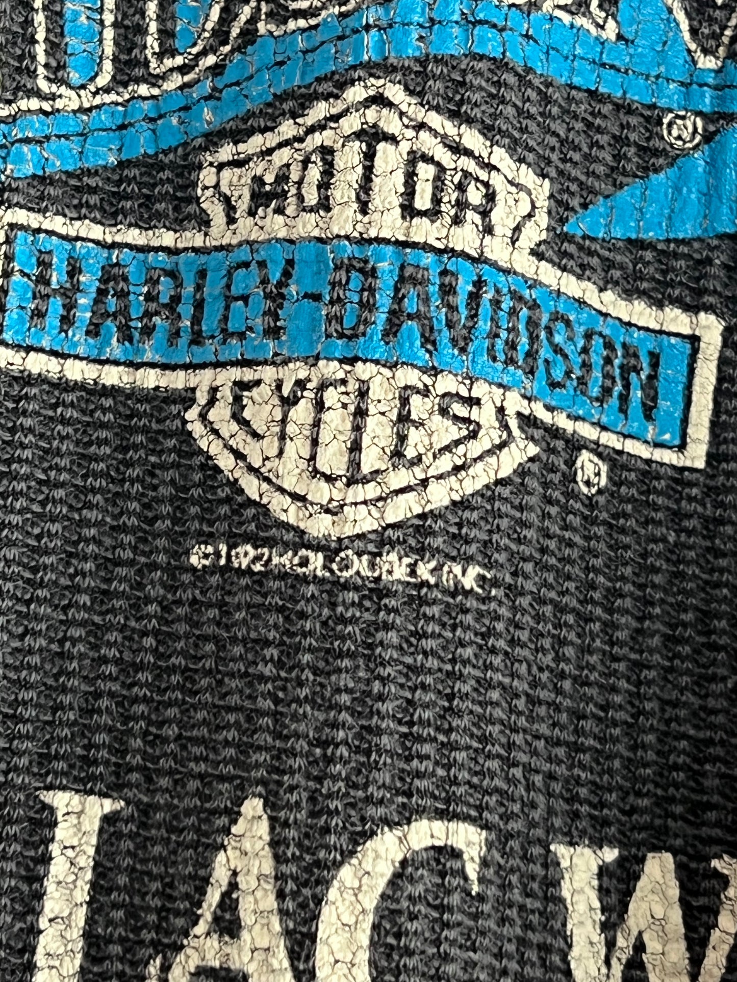 Vintage 90s Call of the Wild Harley Davidson Long Sleeve Thermal Shirt