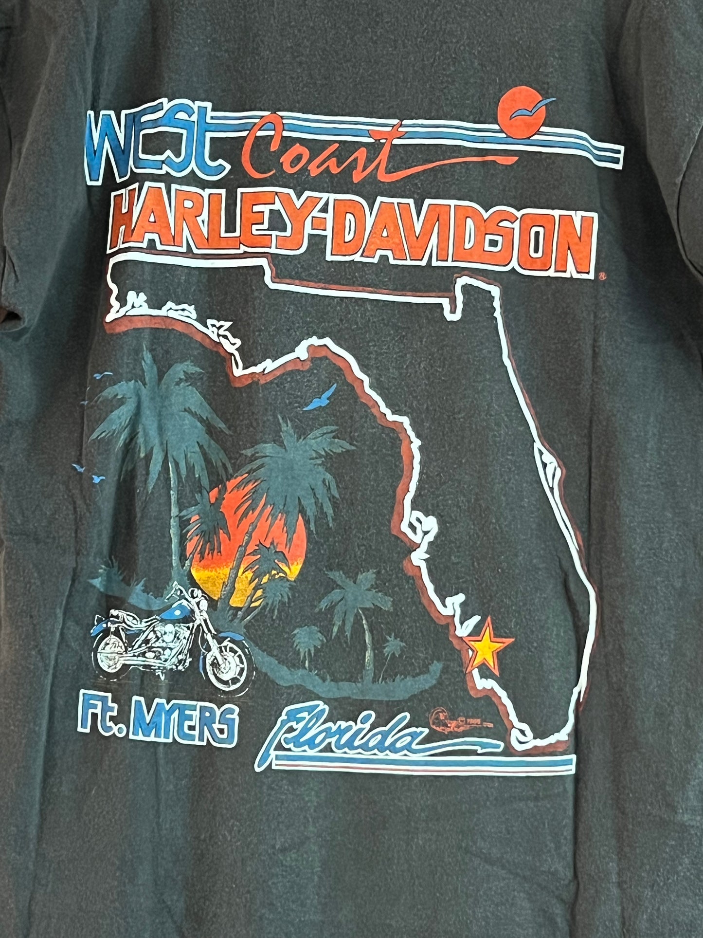 Vintage 80s Harley Davidson #1 in the South T Shirt
